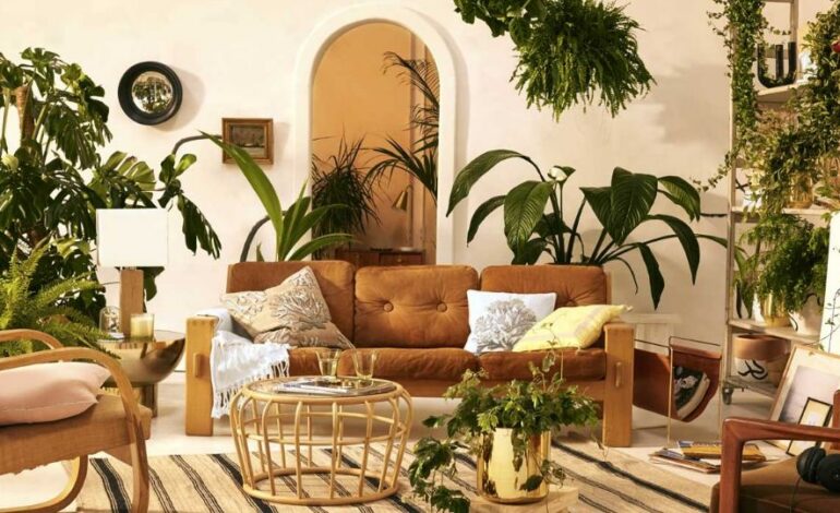 ¿Cuáles son los beneficios de tener plantas en el hogar?