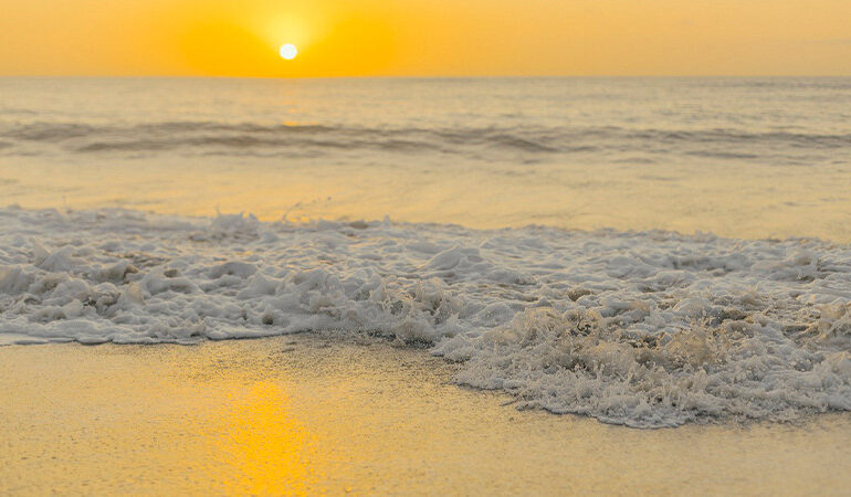 ONU anuncia acuerdo para proteger el 30% los océanos del mundo