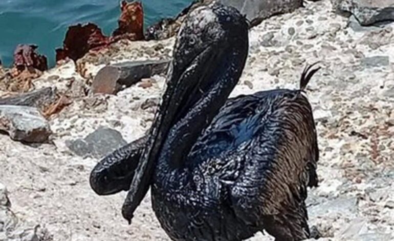 Admite Pemex nuevo derrame en Dos Bocas