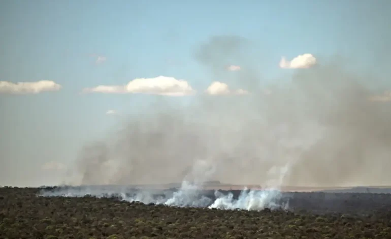 Amazonía Brasileña Recupera Esperanza: Incendios en Su Menor Nivel en 28 Años Después de Intensa Lucha Contra las Bogas Fuerzas del Cambio Climático