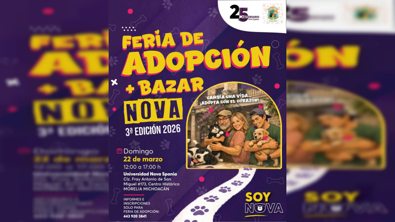 Adopta un amor: perros y gatos esperan un hogar en feria solidaria